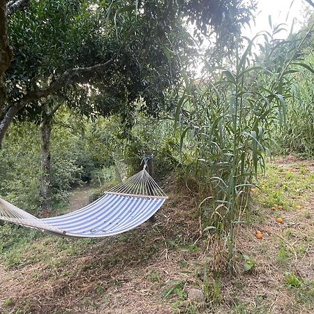 Nascente, Place In Nature Next To A Waterfall Loureiro  Exterior photo