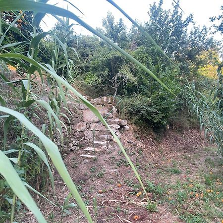 Nascente, Place In Nature Next To A Waterfall Loureiro  Exterior photo