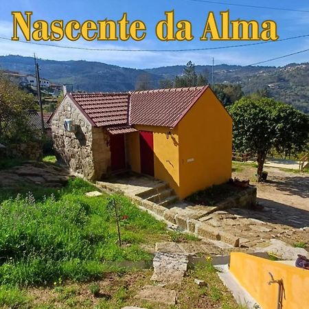 Nascente, Place In Nature Next To A Waterfall Loureiro  Exterior photo