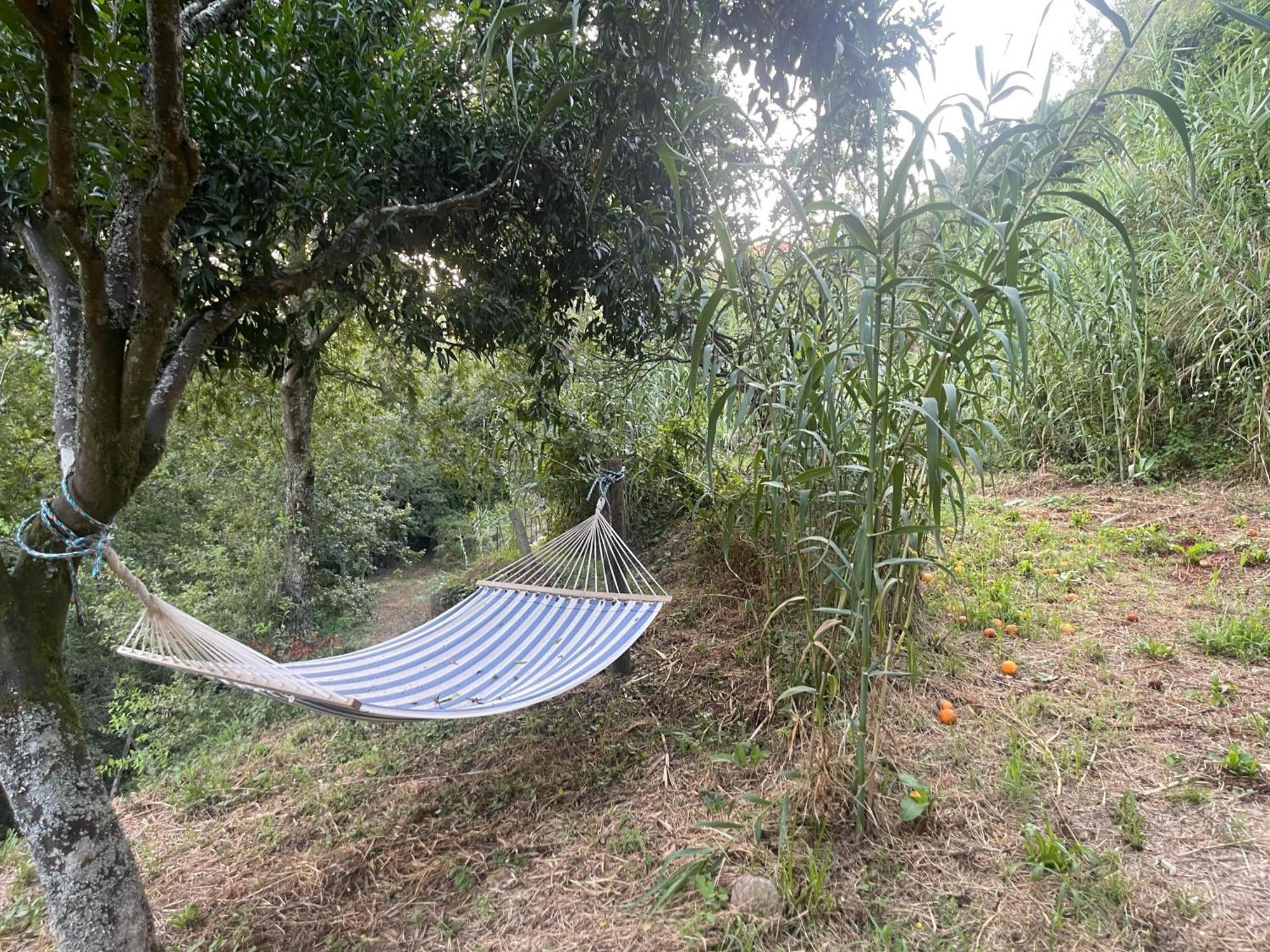 Nascente, Place In Nature Next To A Waterfall Loureiro  Exterior photo