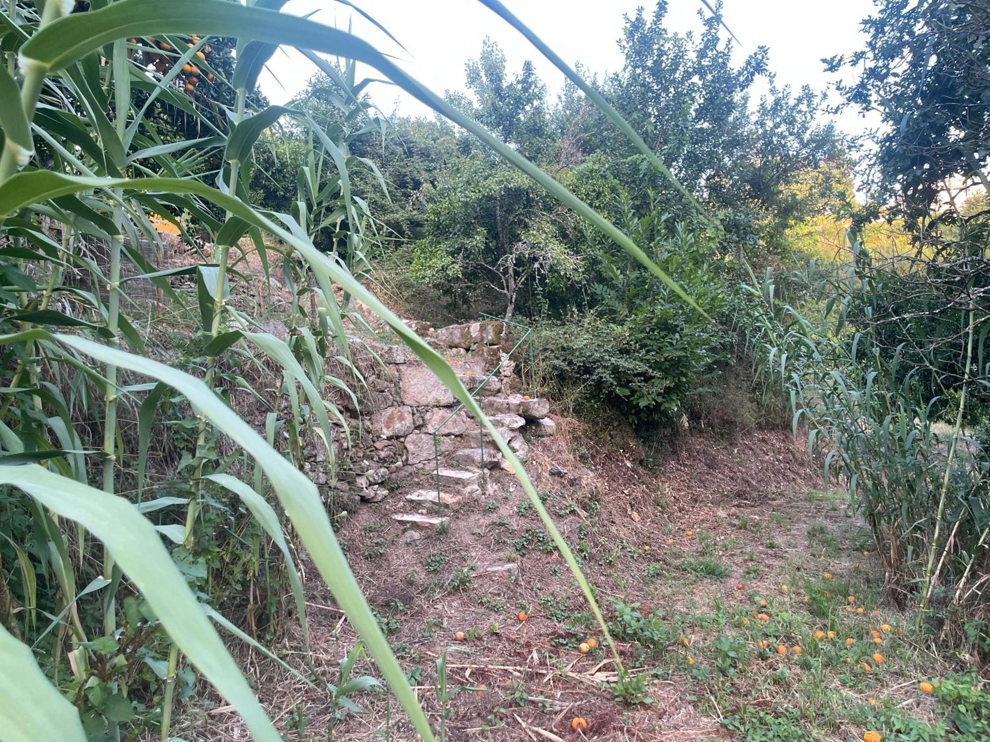 Nascente, Place In Nature Next To A Waterfall Loureiro  Exterior photo