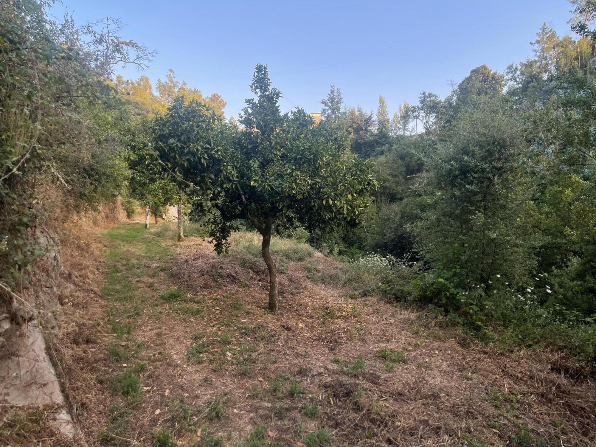 Nascente, Place In Nature Next To A Waterfall Loureiro  Exterior photo