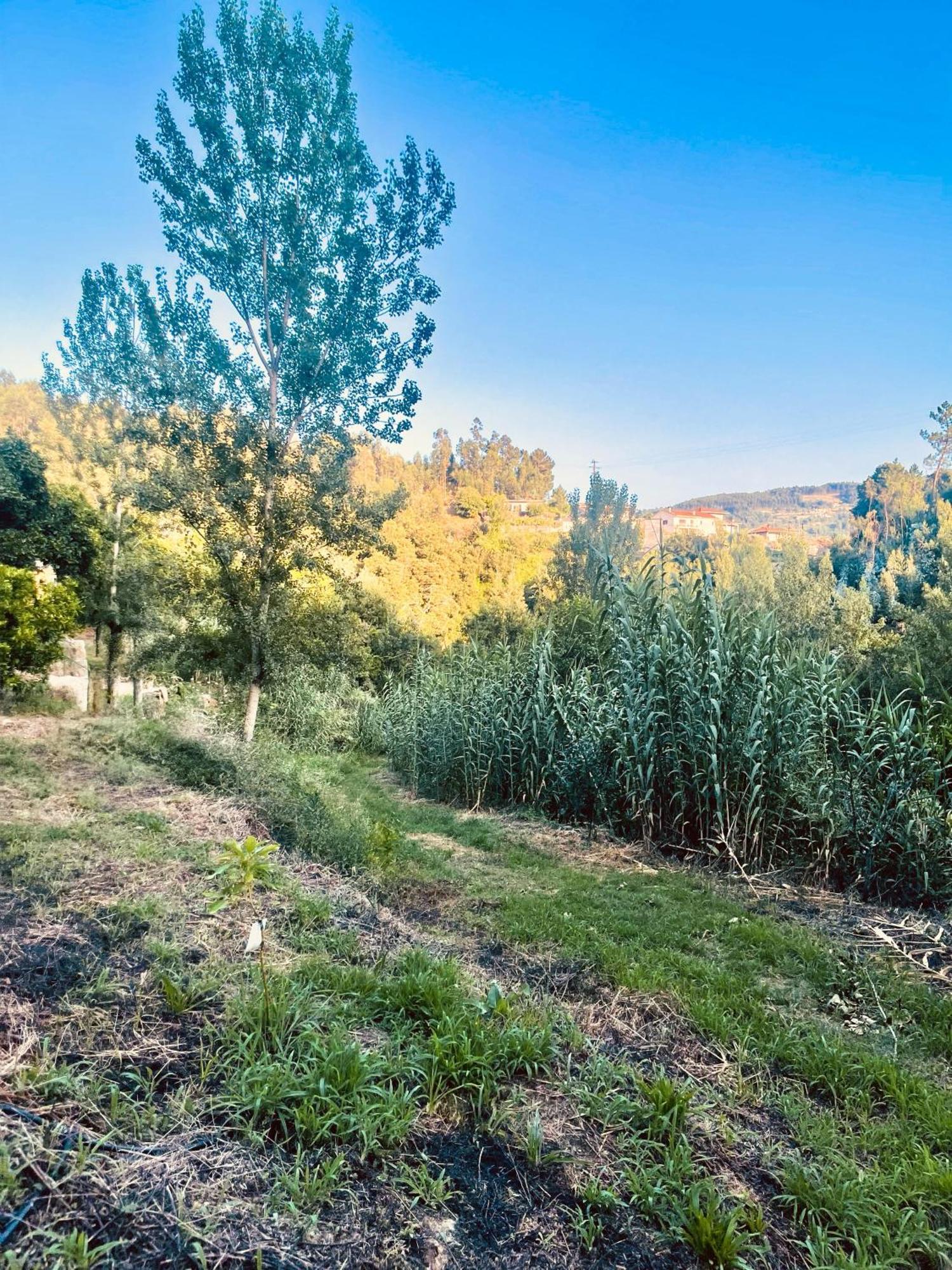 Nascente, Place In Nature Next To A Waterfall Loureiro  Exterior photo