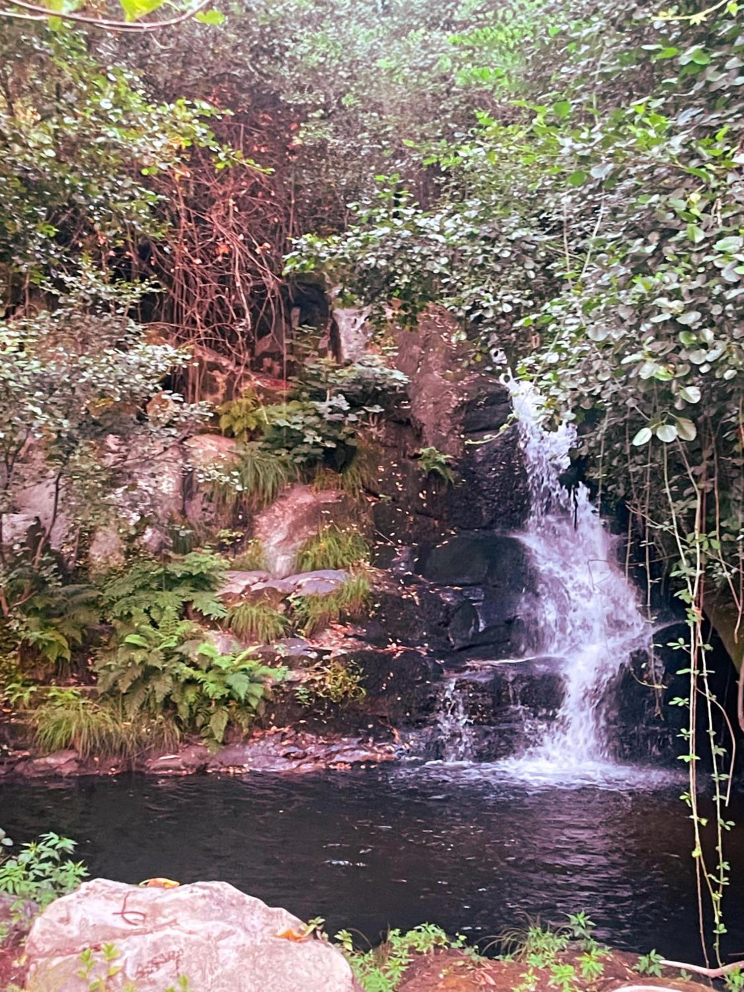 Nascente, Place In Nature Next To A Waterfall Loureiro  Exterior photo